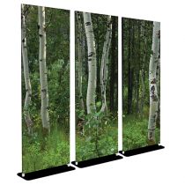 Aspen Trees - Bella Stand - 30x84 Triptych
