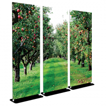 pple Orchard - Bella Stand - 30x84 Triptych