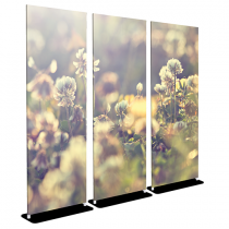 Clover Flowers - Bella - 30x84 Triptych - D/S