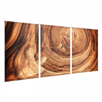 Cross Cut Tree - EZ Room Divider - 60x96 Triptych - D/S