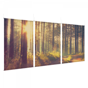 Ember Woods - EZ Room Divider - 60x96 Triptych - D/S