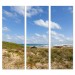 Oceanside - Bella Graphic - 30x84 Triptych
