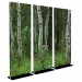 Aspen Trees - Bella Stand - 30x84 Triptych