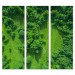 Overhead Forest - Bella Graphic - 30x84 Triptych
