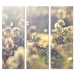 Clover Flowers - Bella - 30x84 Triptych