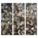 Mother of Pearl - Bella - 30x84 Triptych
